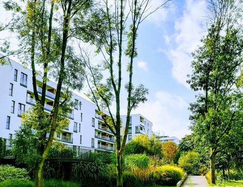 Wiekszość Polaków kupując mieszkanie do życia zwraca uwagę na jakość powietrza i bliskość zieleni